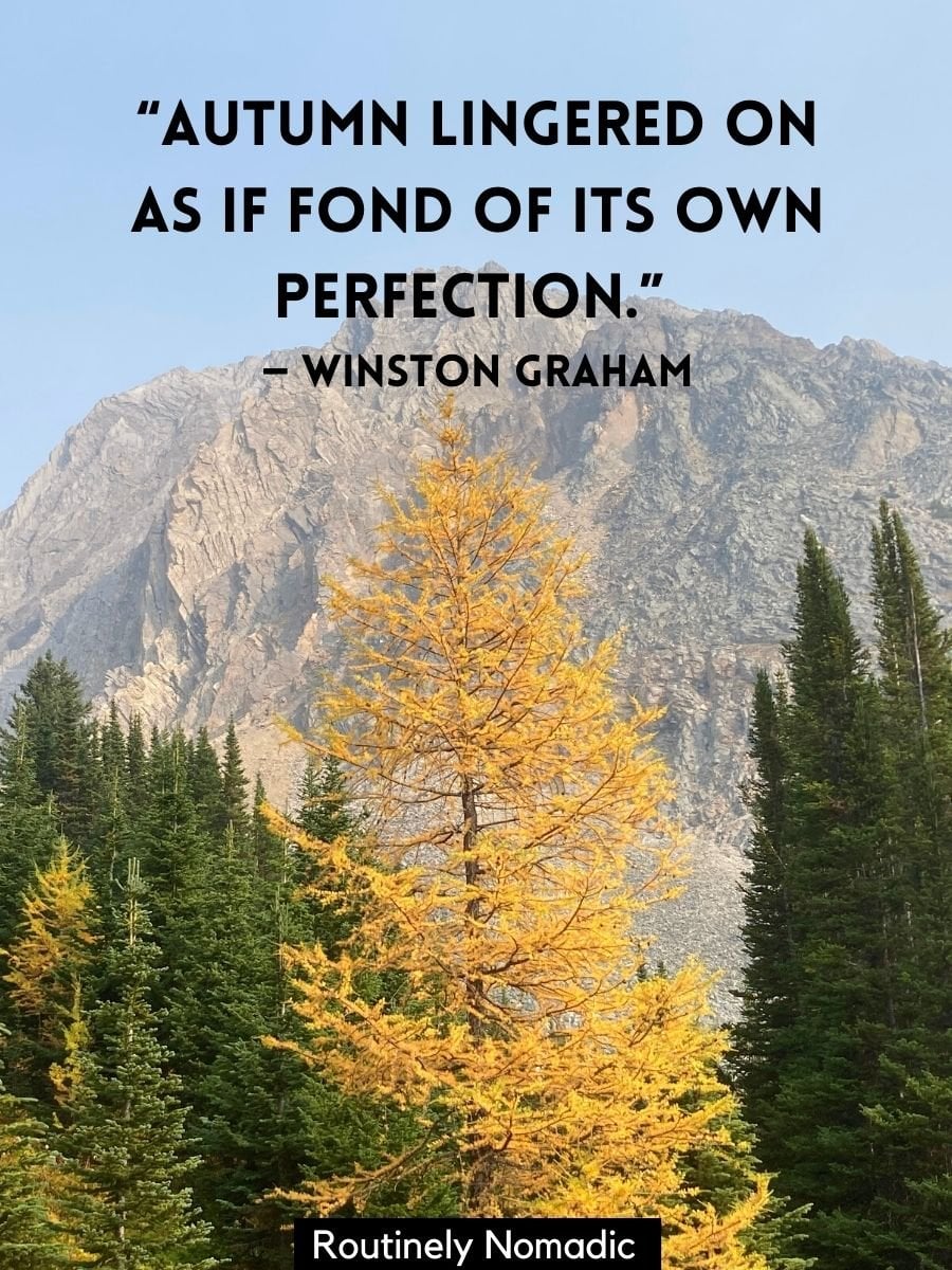 100 Fall Quotes for that Inspirational Crisp Autumn Aesthetic ...