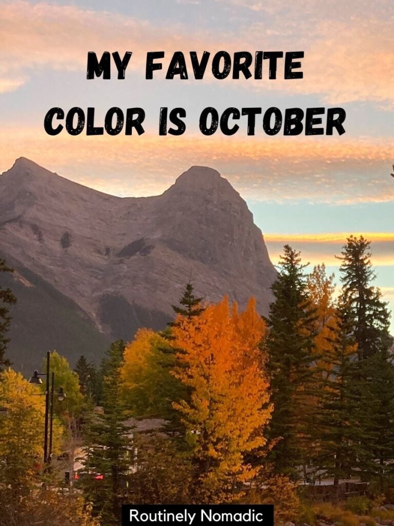 Orange trees and mountains with a clever captions about fall that reads my favorite color is October