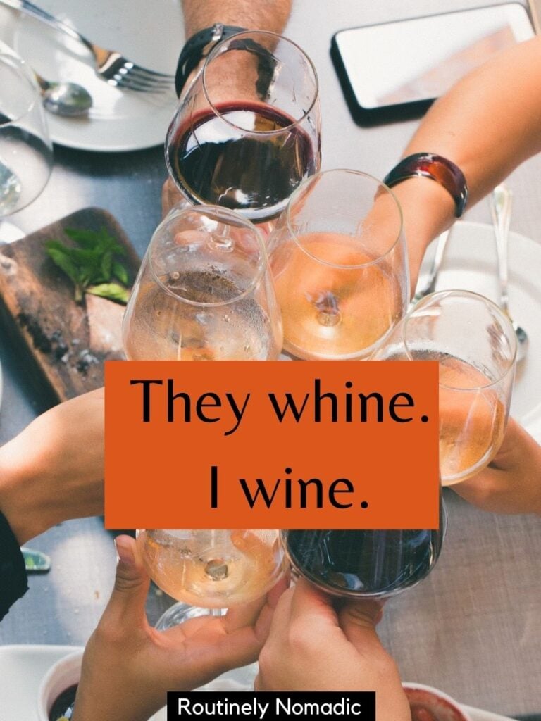 People cheersing with wine glasses with a funny thanksgiving captions that says They whine, I wine