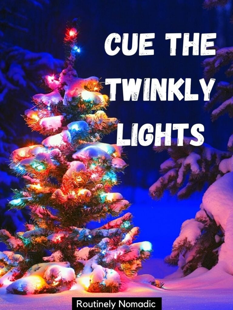 An outdoor Christmas trees with colored lights and a the Christmas tree is up captions that says cue the twinkly lights