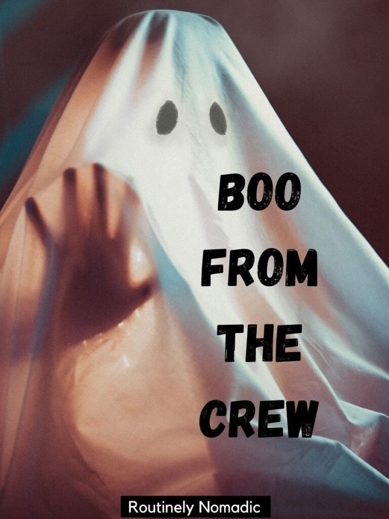 Person in ghost costume and funny Halloween captions that reads boo from the crew