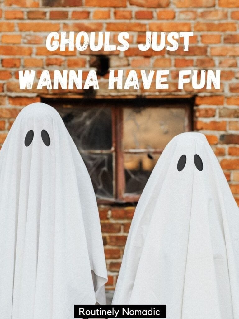 Two people dressed as ghosts with funny halloween puns that says ghould just wanna have fun