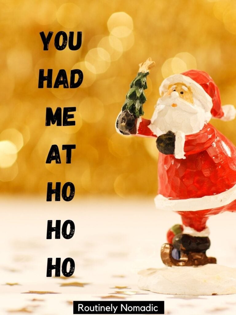 Skating Santa holding a small tree with funny Christmas captions that says You had me at ho ho ho