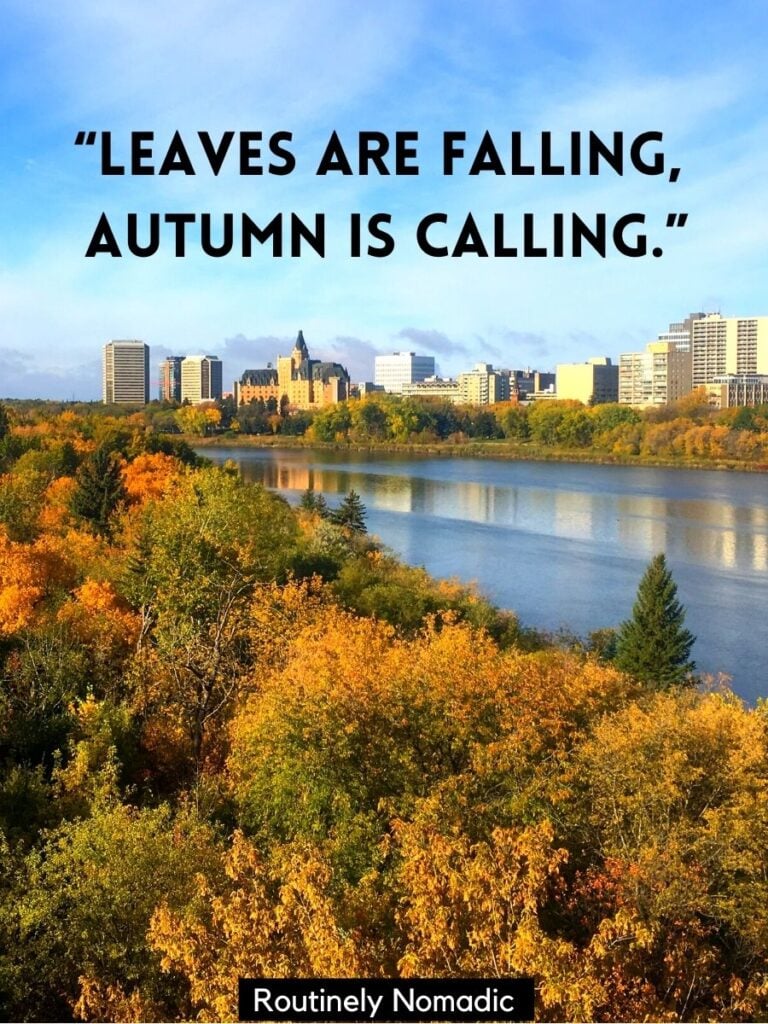 fall trees a long a city river with a short fall sayings