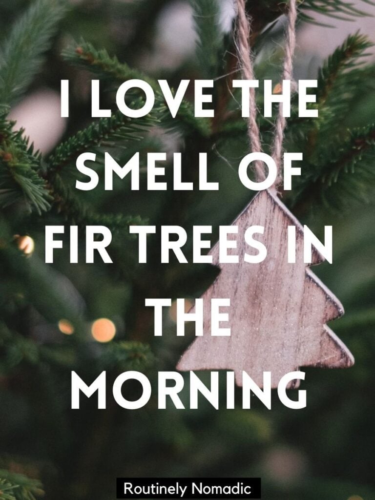 Christmas tree decoration with Christmas tree Instagram captions