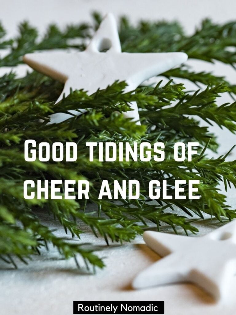 Spruce boughs and star decorations with cute Christmas captions for Instagram on top