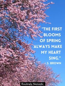 100 Happy Short Spring Quotes for that Inspiring Aesthetic - Routinely ...