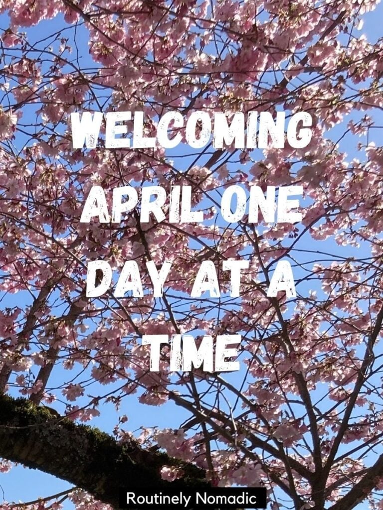 Pink flowers with a Welcome April quotes