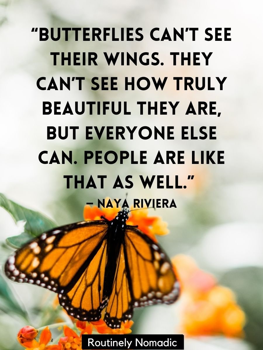 100 Inspring Short Butterfly Quotes for Instagram for When Beauty ...