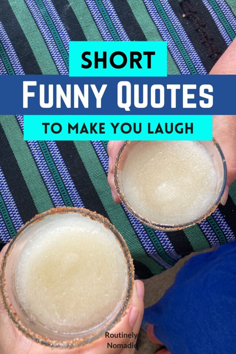 Funny Short Sentences 100 Short Funny Quotes for When Life is Hilarious and You Want to Laugh ...
