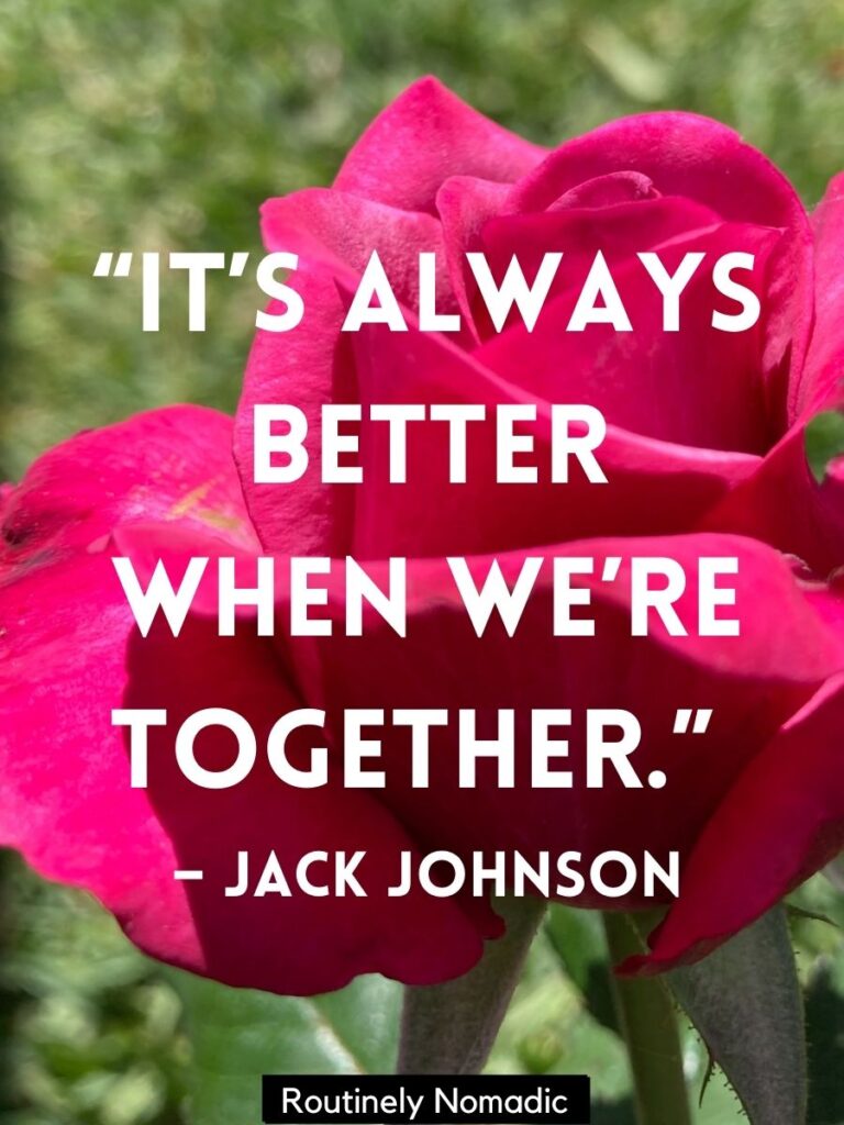 100 Simple Romantic Quotes for that Short and Sweet Love Aesthetic ...