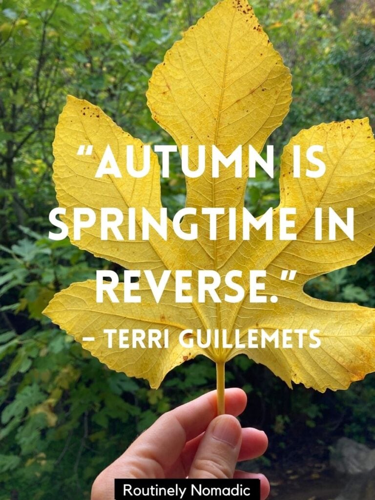 Large yellow leaf with September quotes by Guillemets