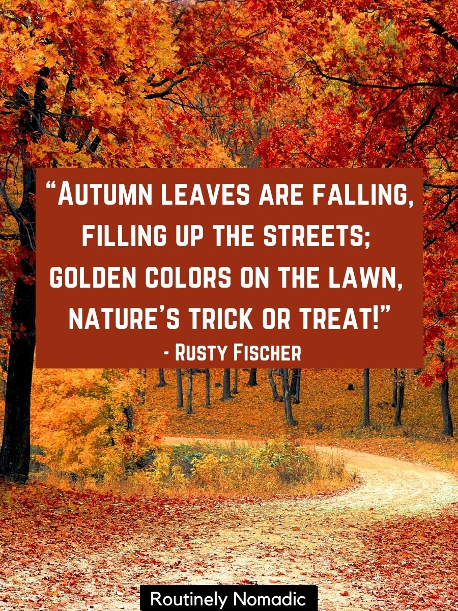 100 Cute Happy Fall Sayings for that Autumn is Here Vibe - Routinely Shares