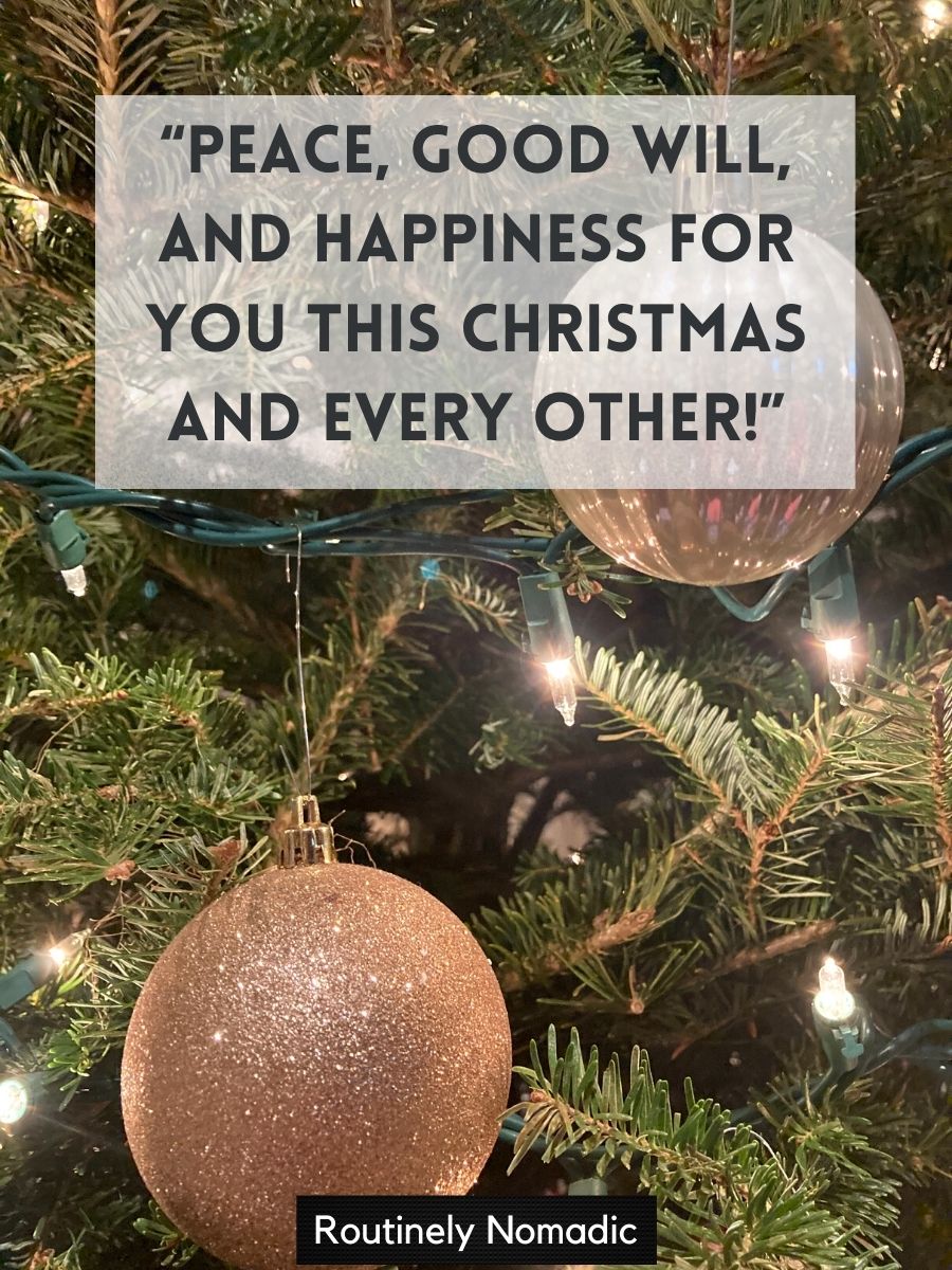 100 Best Christmas Quotes for Friends to Spread the Holiday Cheer ...