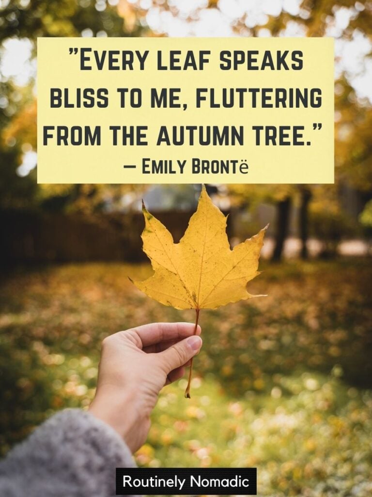Person holding yellow leaf with inspirational autumn leaves quotesby Bronte