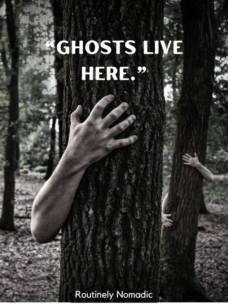 Hand reaching around tree with short Halloween sayings