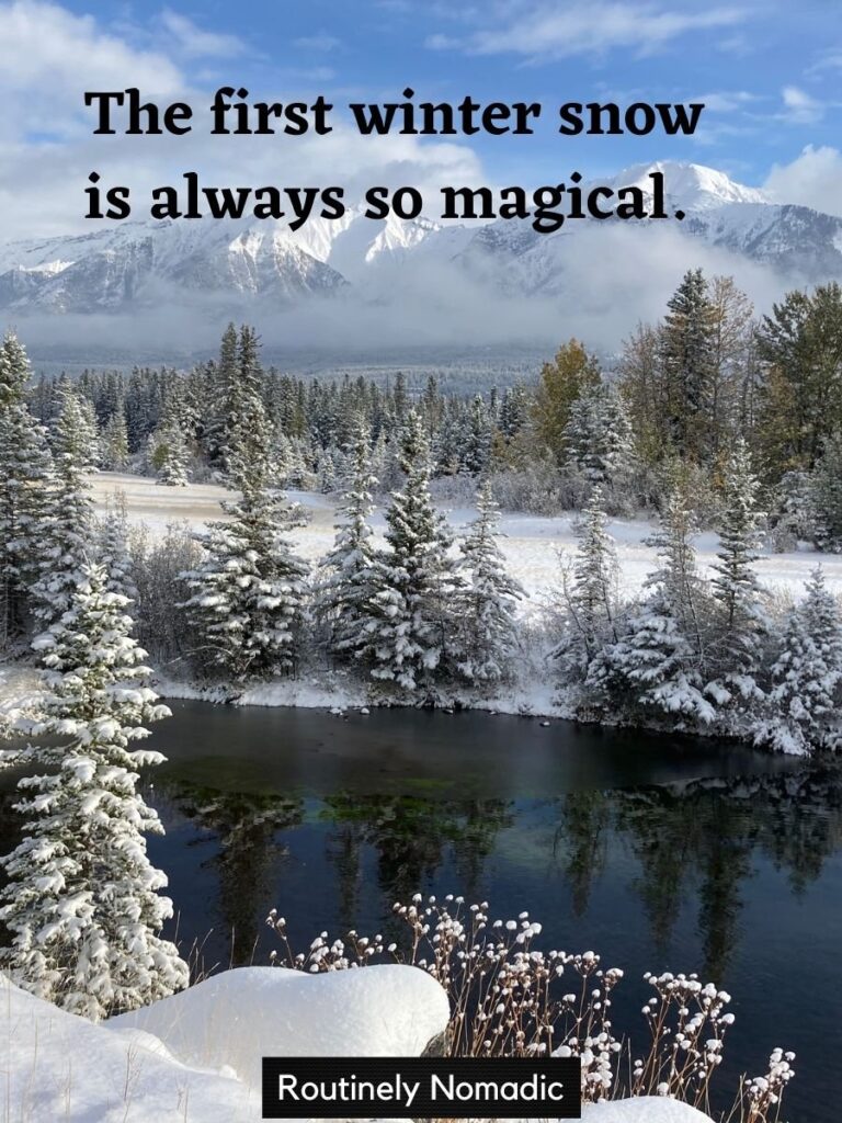 Snowy trees and mountains with funny cute winter captions