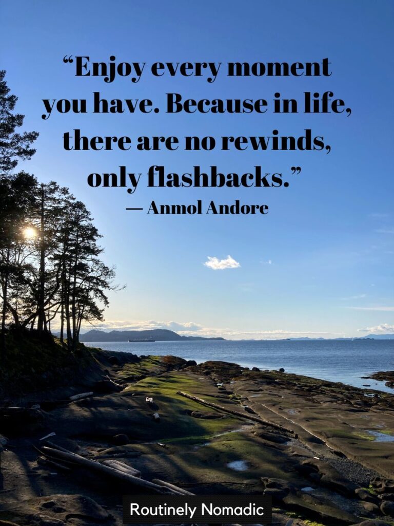 100 Short Enjoy the Moment Quotes to Find Happiness in Life's Little ...