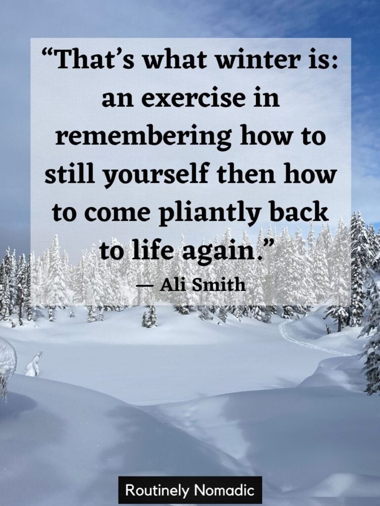 Snowy trees with winter quotes by Smith