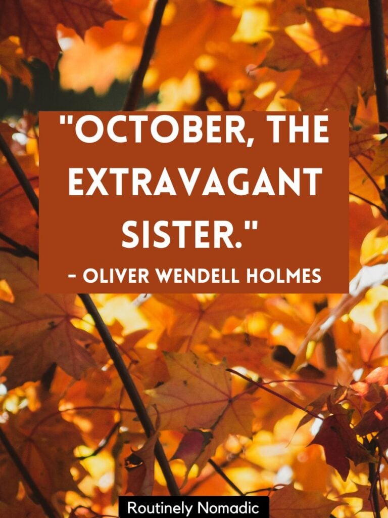 Fall leaves with October quotes funny and short by Holmes