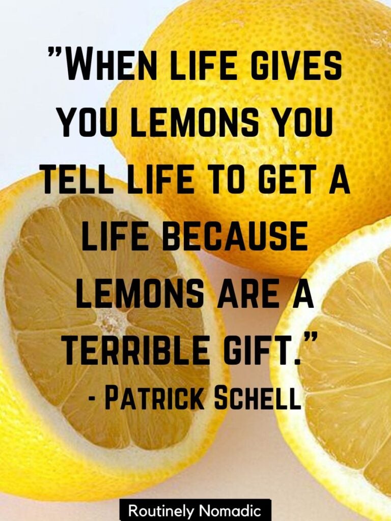 Cut lemons with funny quotes for when life gives you lemons by Schell