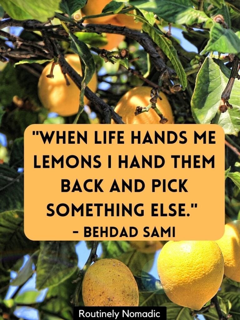 Lemons on tree with when life gives you lemons quotes by Sami