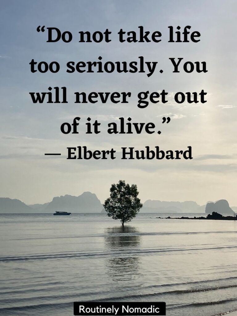 Tree in water with funny inspirational quotes for life lessons by Hubbard