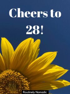 100 Short Happy 28th Birthday Quotes and Wishes for that Time to ...