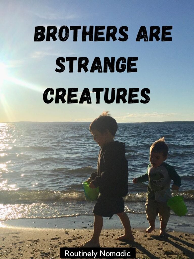 175 Short Brother Quotes for Instagram for that Brotherly Aesthetic