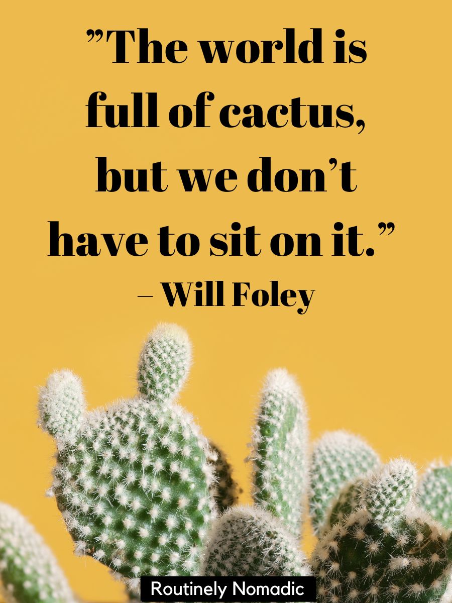 Cactus Ropes Quotes 100 Cactus Captions for that Prickly Aesthetic - Routinely Shares