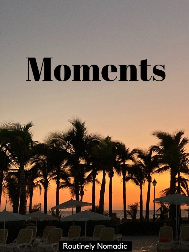 Palm trees at sunset with one word Instagram captions