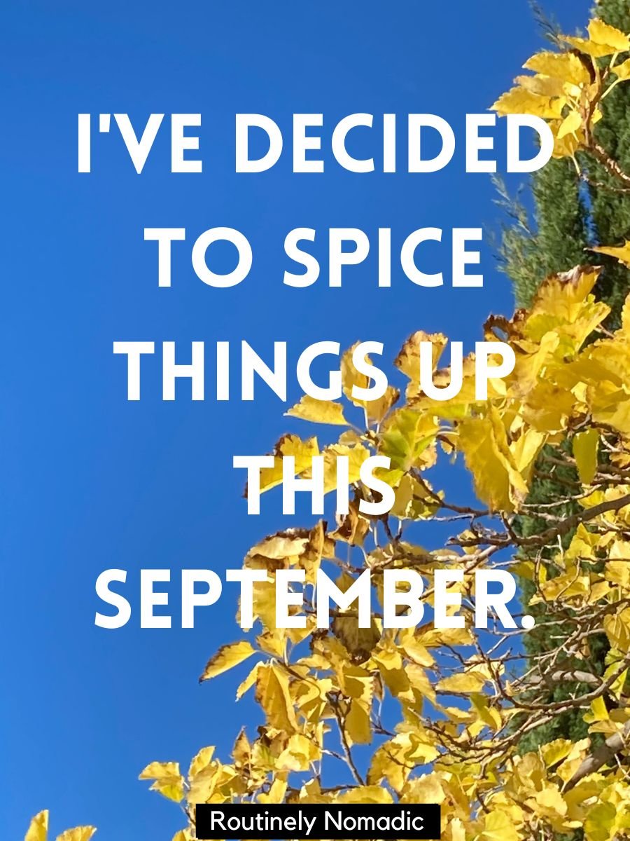 250 Fall Captions For That Crisp Autumn Aesthetic Routinely Shares 250-fall-captions-for-that-crisp-autumn-aesthetic-routinely-shares