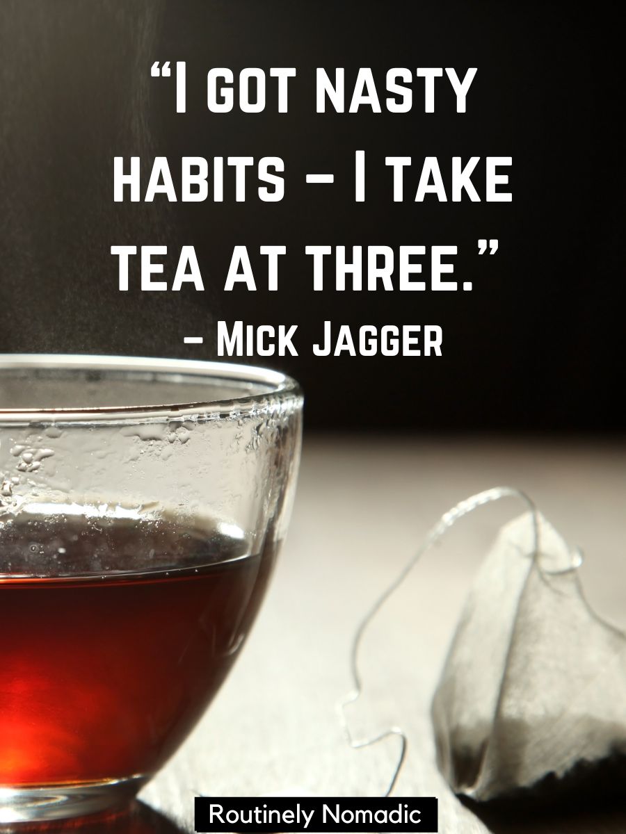 No Take Tea 145 Tea Captions for that Steaming Cup - Routinely Shares