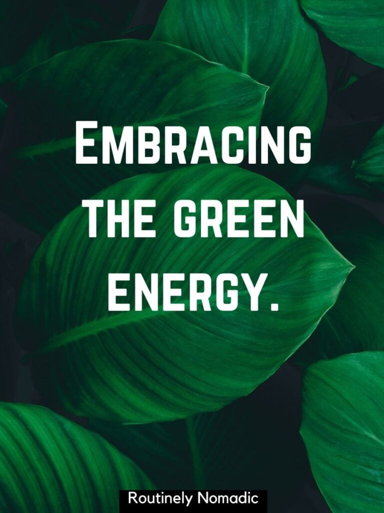 Leaves with green Instagram captions