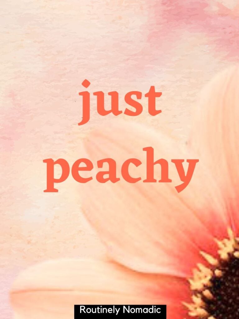 Flower with funny short aesthetic captions for Insta