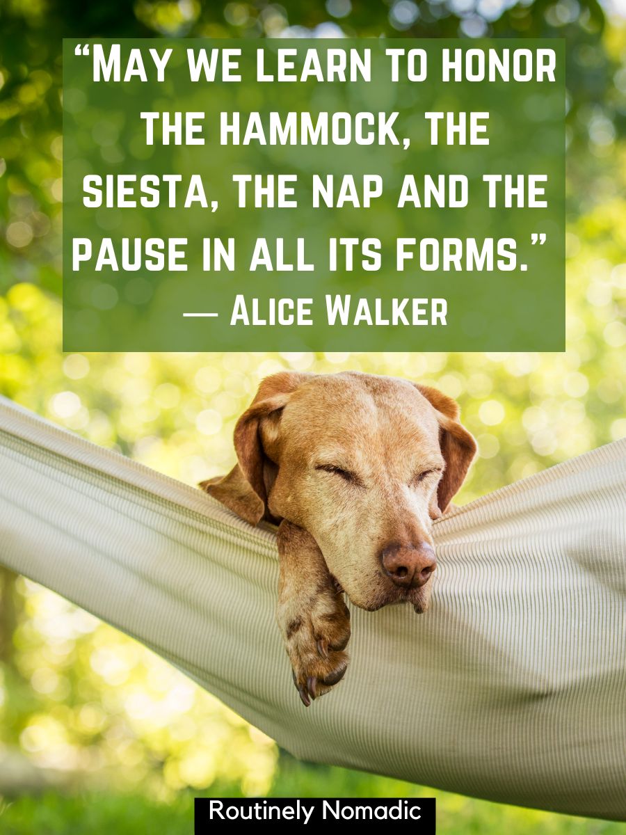 125 Hammock Captions for that Chill Aesthetic Routinely Shares