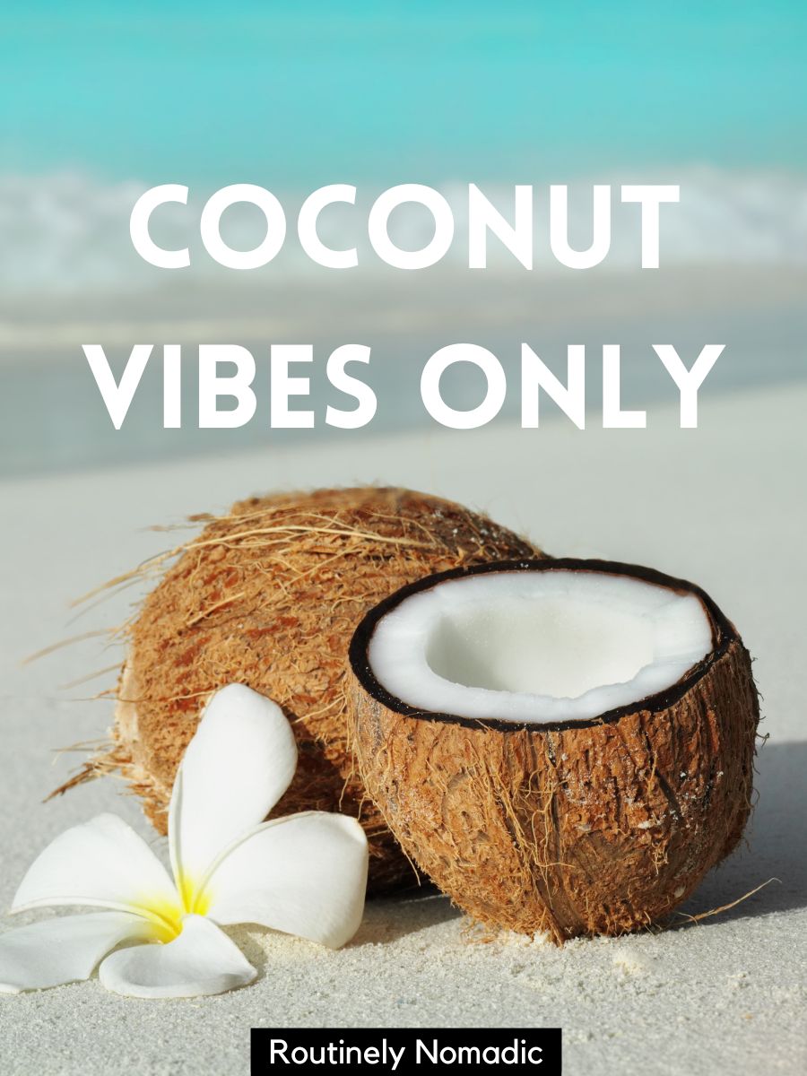 100-perfect-coconut-captions-for-those-coco-days-routinely-shares