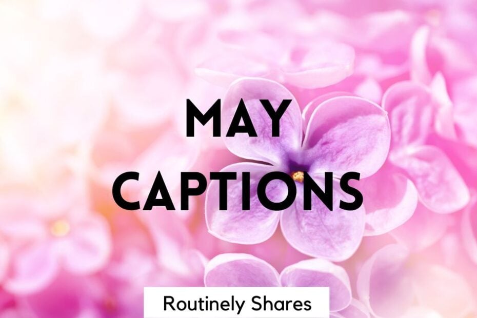 Flowers with Instagram captions May