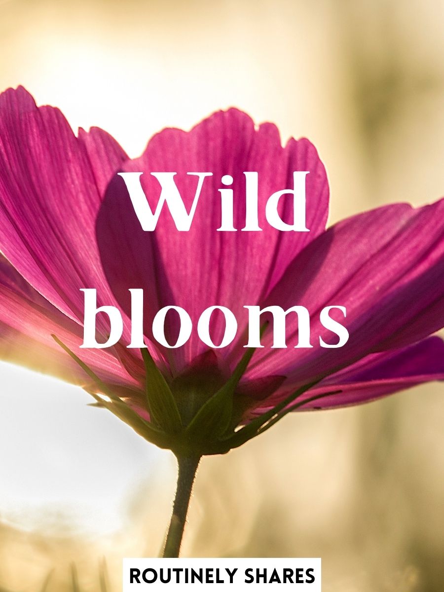 The 125 Best Spring Captions for Instagram for When the Flowers Bloom