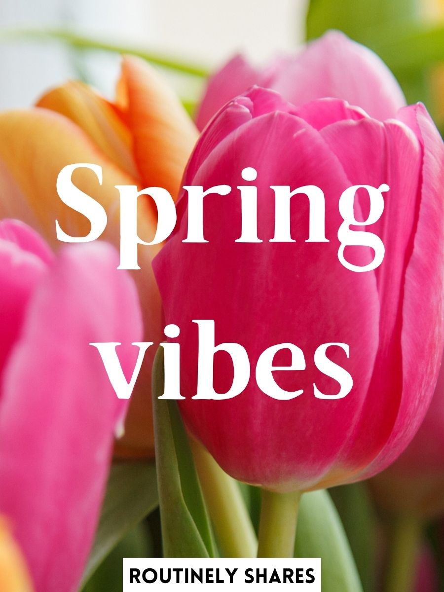 The 125 Best Spring Captions for Instagram for When the Flowers Bloom