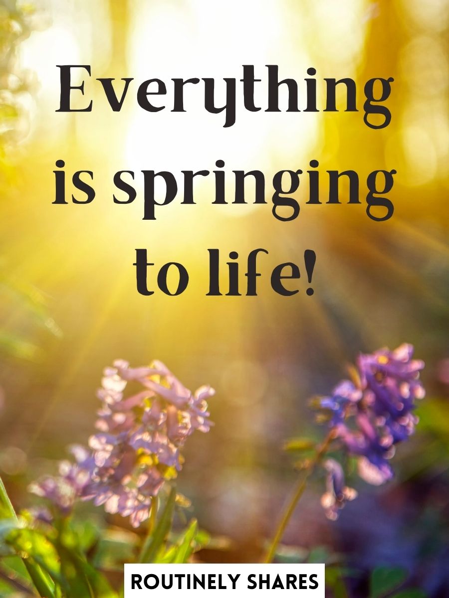 The 125 Best Spring Captions for Instagram for When the Flowers Bloom