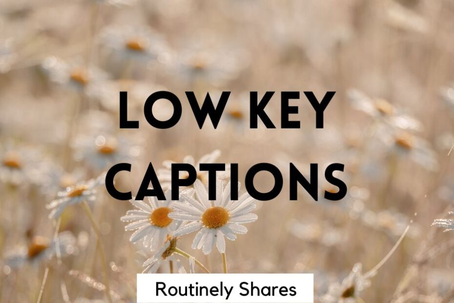 Flowers with captions Instagram low key
