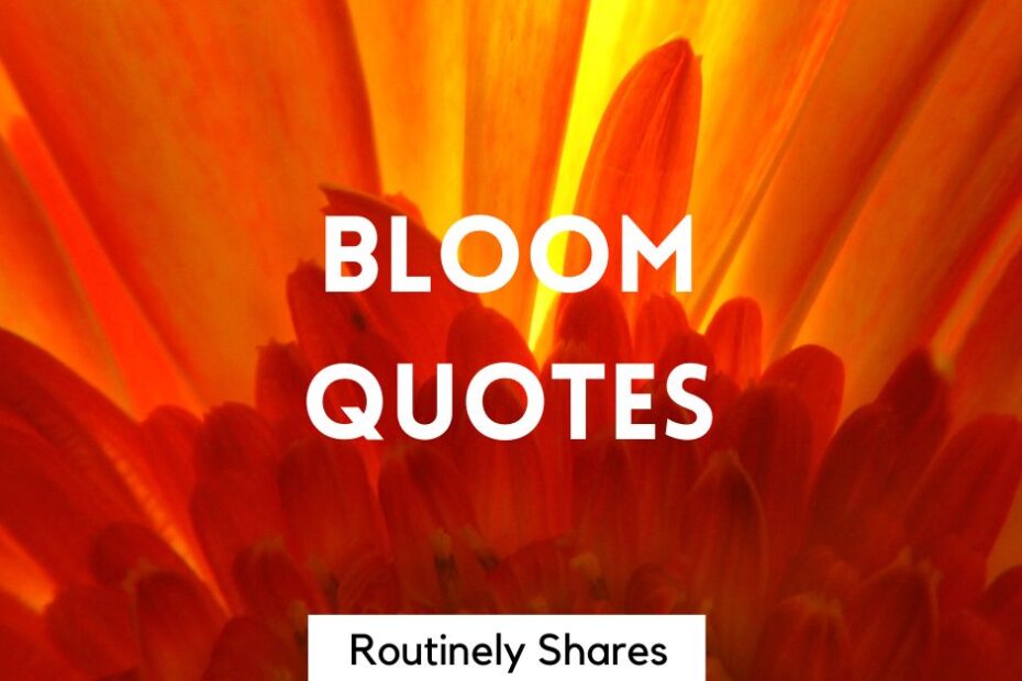 Flower with bloom quotes