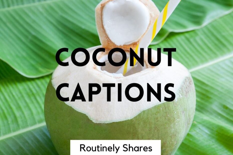Coconut captions