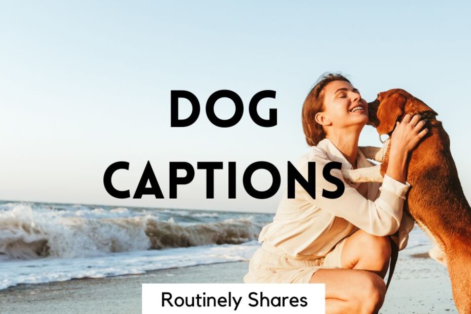 The words dog captions