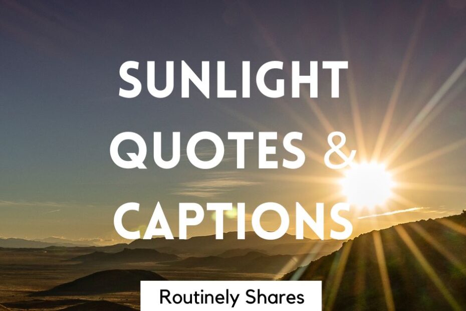 The words sunlight quotes and captions
