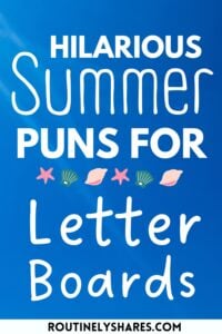 summer puns for letter boards