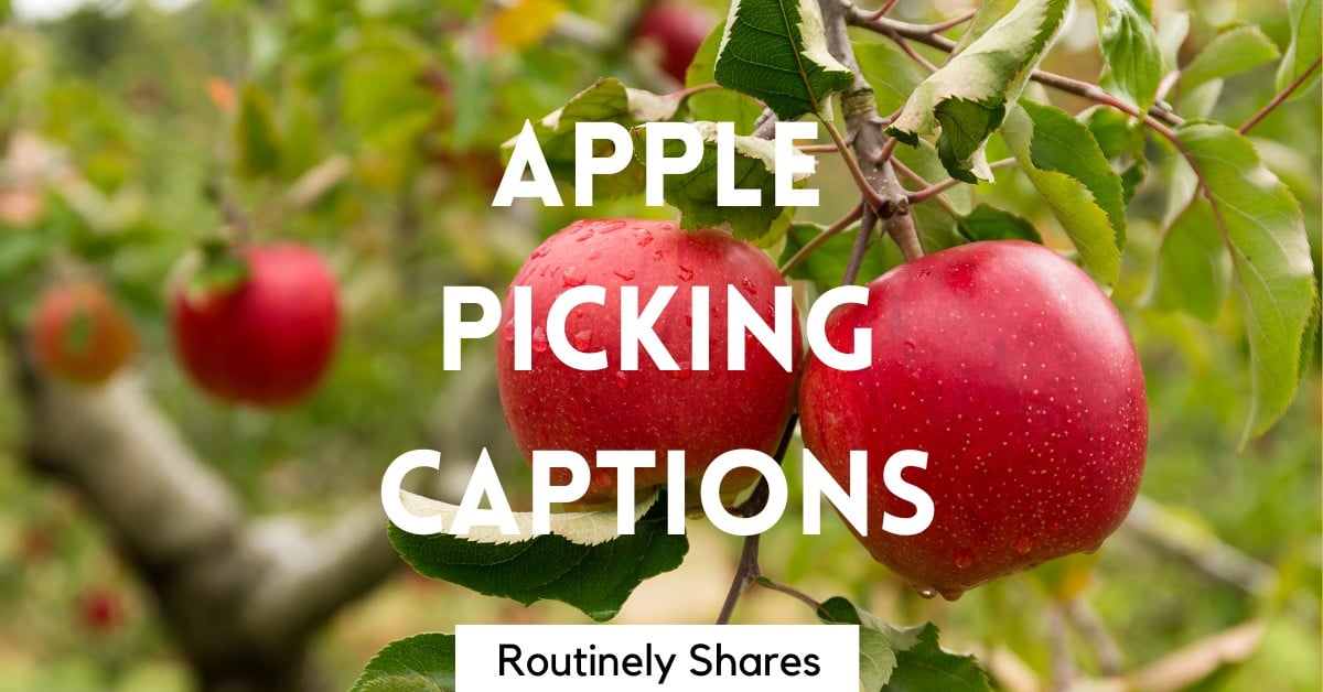 100 Best Apple Picking Captions for Your Orchard Visit Routinely Shares