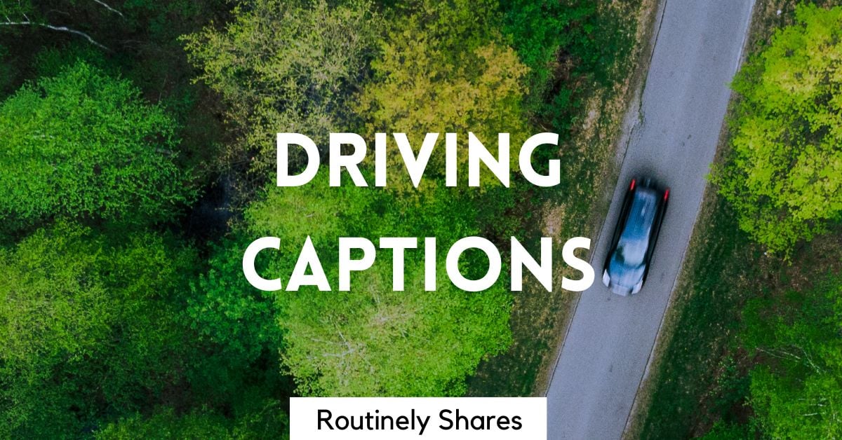 125 Driving Captions For That Hitting The Road Aesthetic Routinely Shares 125-driving-captions-for-that-hitting-the-road-aesthetic-routinely-shares