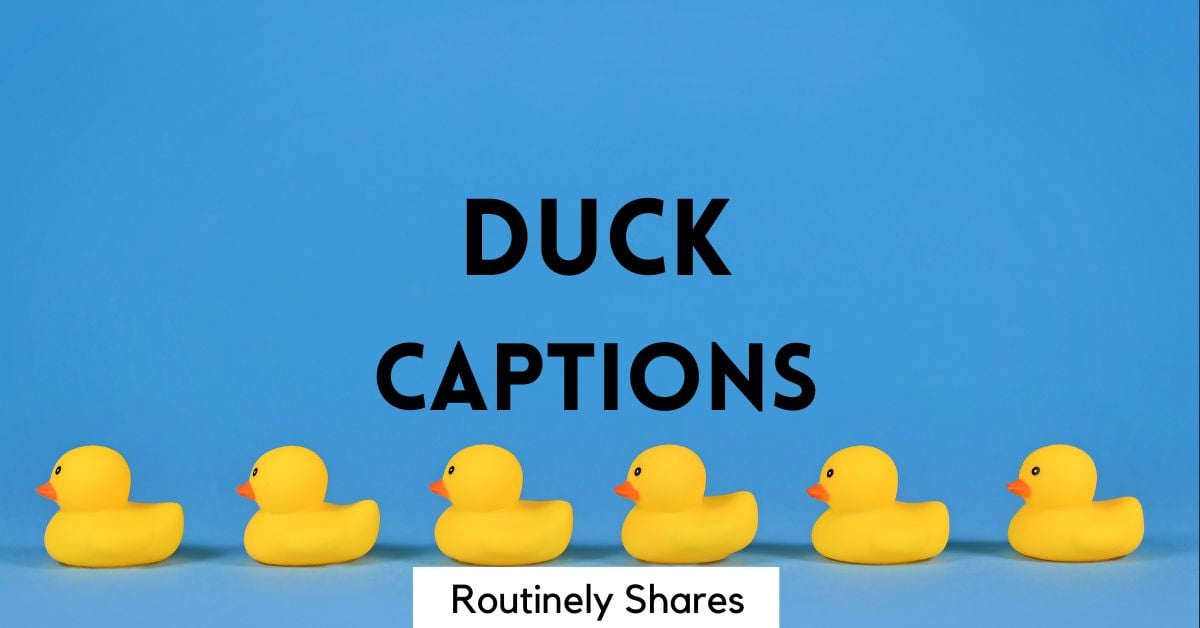 145 Cute and Funny Duck Captions for Instagram - Routinely Shares